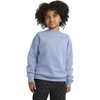 Hanes Boys’ EcoSmart Sweatshirt, Cotton Crewneck Pullover, Kids’ Fleece Sweatshirt(Light Blue)