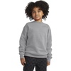 Hanes Boys’ EcoSmart Sweatshirt, Cotton Crewneck Pullover, Kids’ Fleece Sweatshirt(Light Steel)