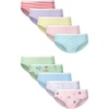 Hanes Girls’ Hanes Girls’ 20-pack Tagless Cotton Brief Panties(Purple  Hearts  Flowers  Green  Blue  Pink)