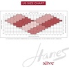 Hanes Alive Women’s Full Support, Control Top, Reinforced Toe Pantyhose(Little Color (Pack of 3))