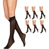 Hanes Alive Women’s Full Support Sheer Toe Knee High Stockings(Jet (Pack of 6))