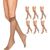Hanes Alive Women’s Full Support Sheer Toe Knee High Stockings(Little Color (Pack of 6))