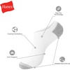 Hanes Men’s Socks, Active Cool X-temp Lightweight Moisture-wicking Cushioned Ankle, Crew and No Show, 12 and 14 Pair Packs(Black – No Show 12 Pair)