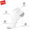 Hanes Men’s Socks, Active Cool X-temp Lightweight Moisture-wicking Cushioned Ankle, Crew and No Show, 12 and 14 Pair Packs(White)