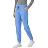 Hanes Women’s Scrubs Cargo Joggers, Healthcare Scrub Joggers for Women, Moisture Wicking(Ceil Blue 2)