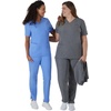 Hanes Women’s Scrubs Healthcare Top, Moisture-Wicking Stretch Scrub Shirts, Ribbed Back Panel(Ebony Heather)