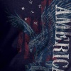Hanes Men’s Essentials Short Sleeve Graphic Tee(Eagle America)