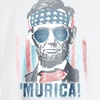 Hanes Men’s Essentials Short Sleeve Graphic Tee(Murica)