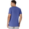 Hanes Men’s Originals Lightweight T-Shirt, Crewneck T-Shirts for Men, Tri-Blend Tee(Royal Triblend)
