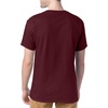 Hanes Men’s T-Shirt Pack – 4 or 6 Pack – Essential-T Crewneck Cotton T-Shirts – Everyday Men’s Clothing – Big & Tall(Maroon)
