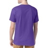 Hanes Men’s T-Shirt Pack – 4 or 6 Pack – Essential-T Crewneck Cotton T-Shirts – Everyday Men’s Clothing – Big & Tall(Purple – 4 Pack)