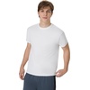 Hanes Men’s X-Temp Performance T-Shirt Pack, Cotton Blend Moisture-Wicking Tees for Men, 2-Pack(White)
