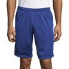Hanes Men’s Mesh Pocket Short(Surf the Web)